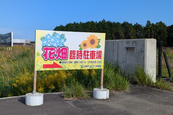 国東市小原のひまわりの臨時駐車場